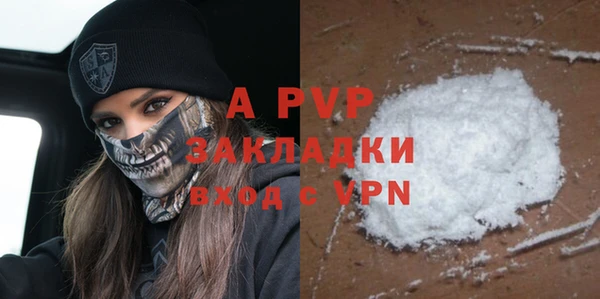 индика Вязьма