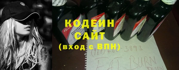 индика Вязьма