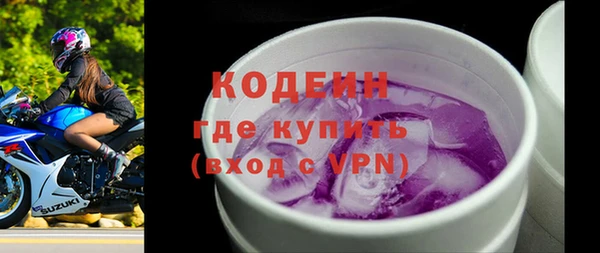 индика Вязьма