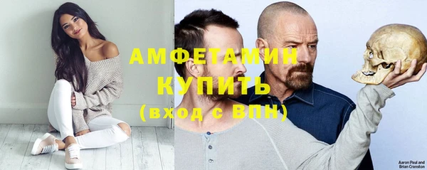 индика Вязьма