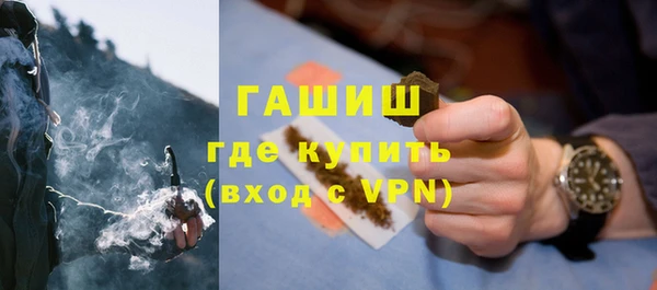 индика Вязьма
