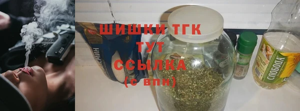 индика Вязьма