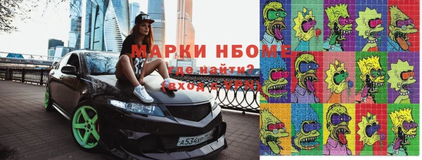 индика Вязьма