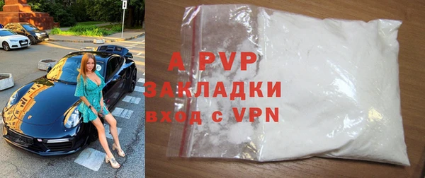 индика Вязьма