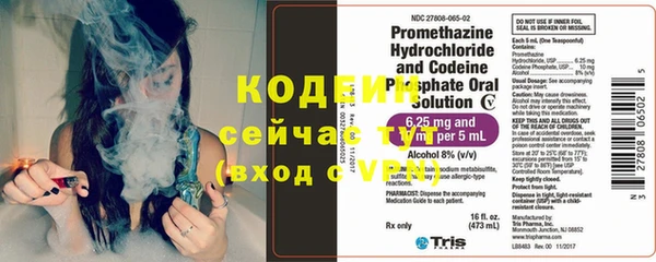 индика Вязьма