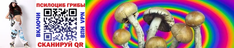 Галлюциногенные грибы GOLDEN TEACHER  Первоуральск 